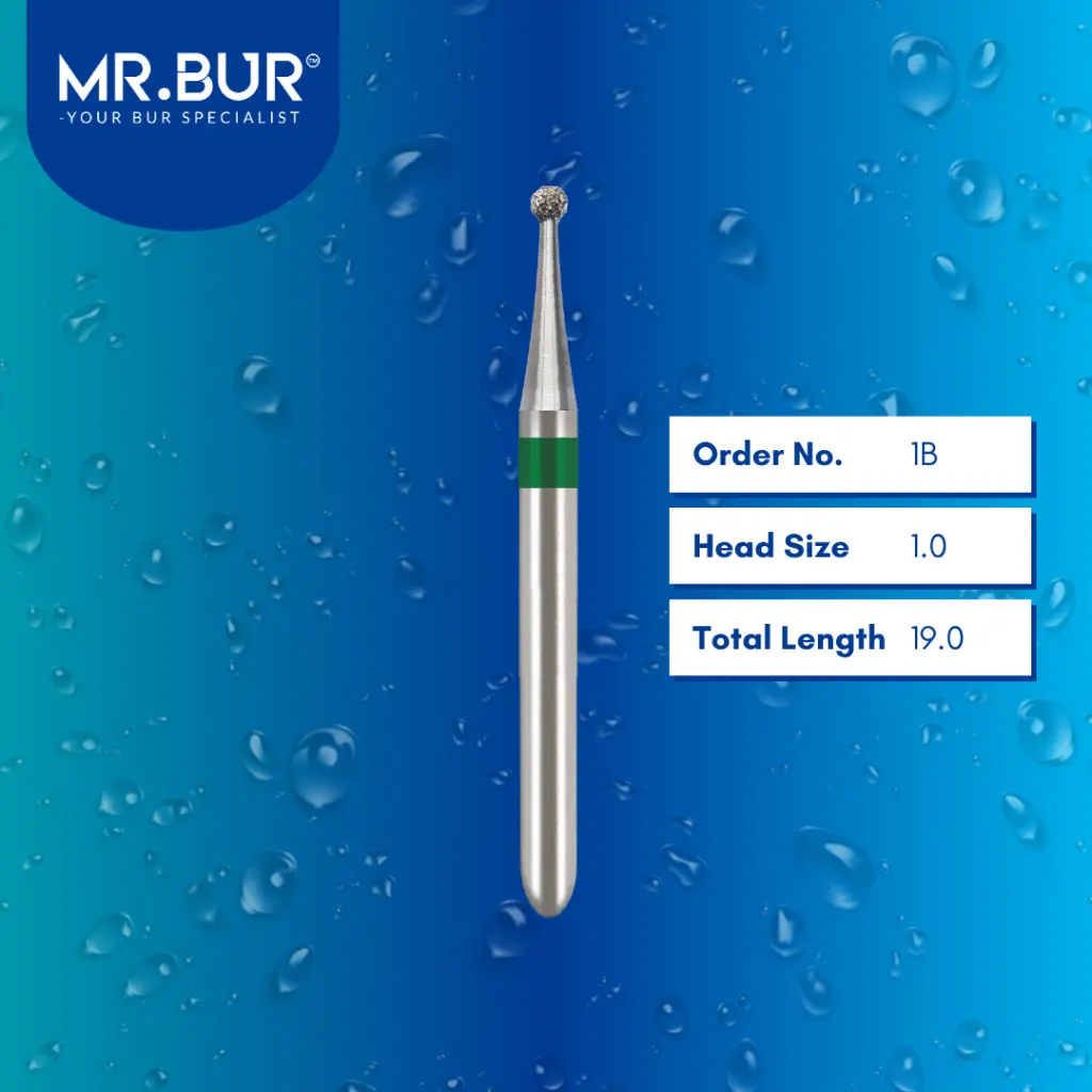 Round-Diamond- Bur-1B.webp