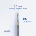 ROOT PLANING / SUBGINGIVAL SCALING