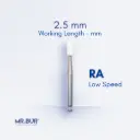 RA STONES COMPOSITE POLISHING
