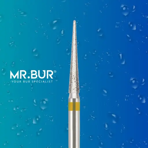 [71DSF] 859EF FG.016