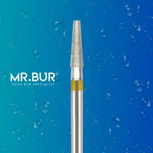 [56DSF] 846EF FG.018