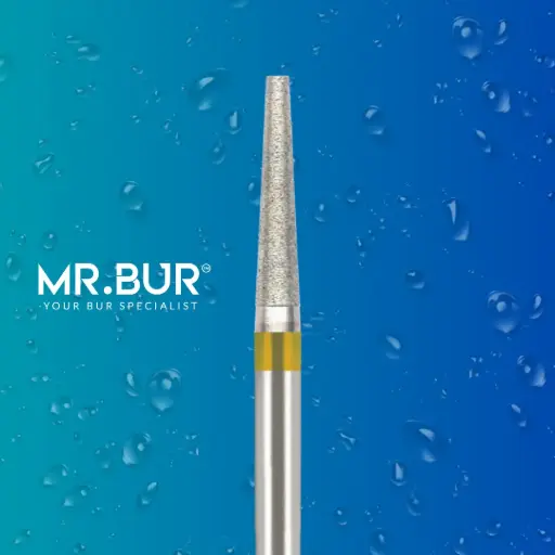 [26BSF] 847EF FG.016