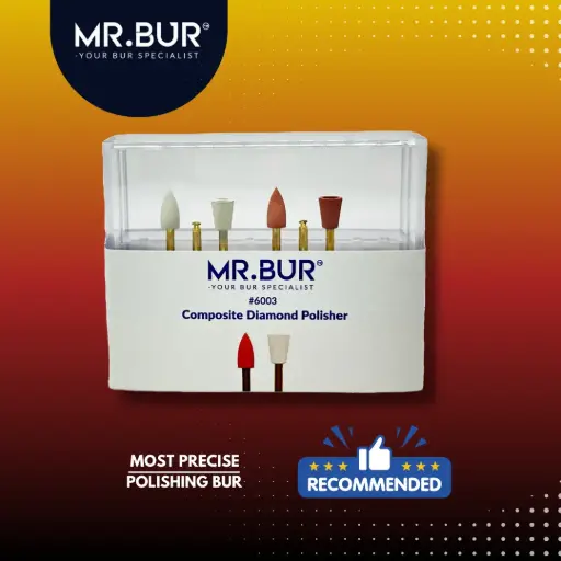 [#6003] DIAMOND POLISHER WHEELS