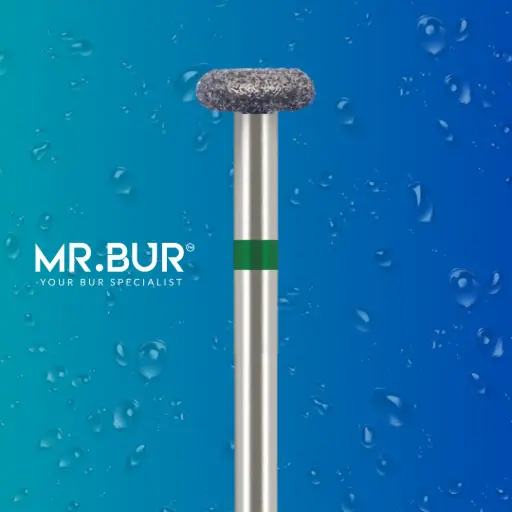 [134] FG STANDARD DONUT