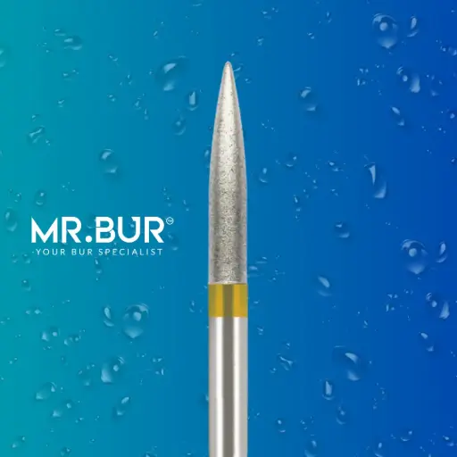 [48ASF] FG SUPER FINE BURS