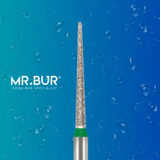 [55] FG STANDARD POINTED CONE