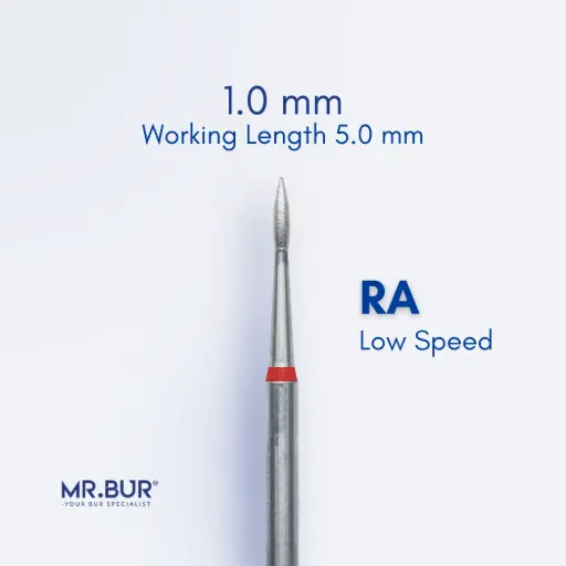 [RAF368/10] ROOT PLANING / SUBGINGIVAL SCALING