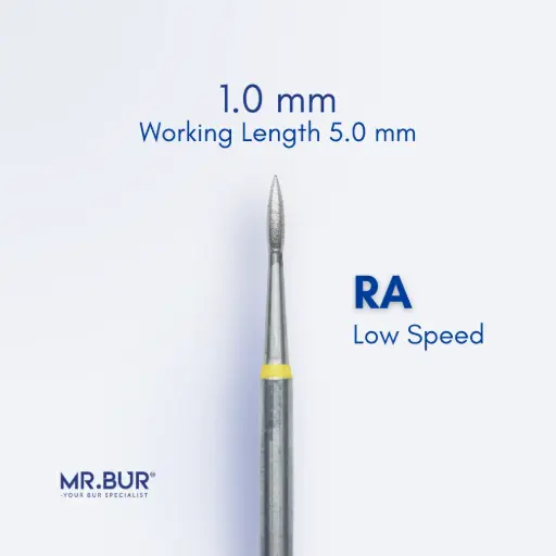 [RASF368/10] ROOT PLANING / SUBGINGIVAL SCALING